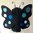 Butterfly Blue Dot